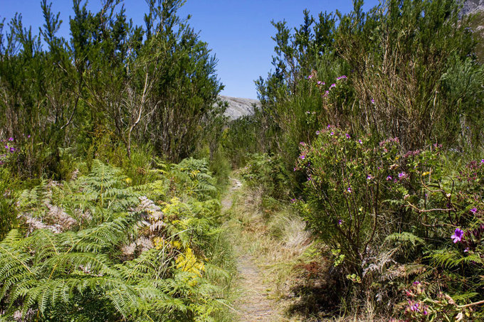 Kleinmond Nature Reserves