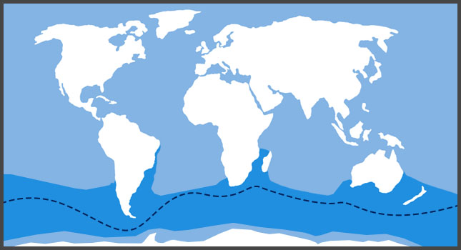 Southern Right Whale Habitat 