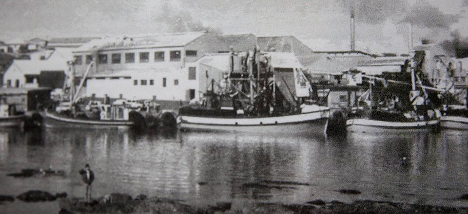 A Rich and Colourful History steeped in Nature's Bounty 