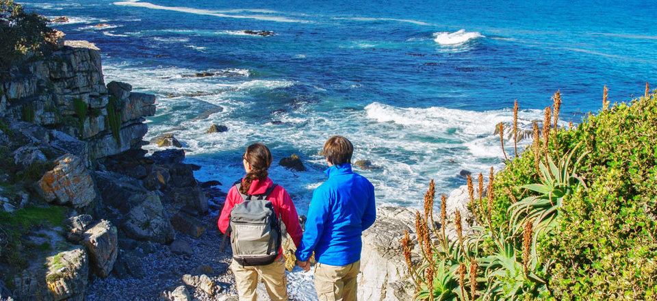 Discover all Things To Do in Hermanus!