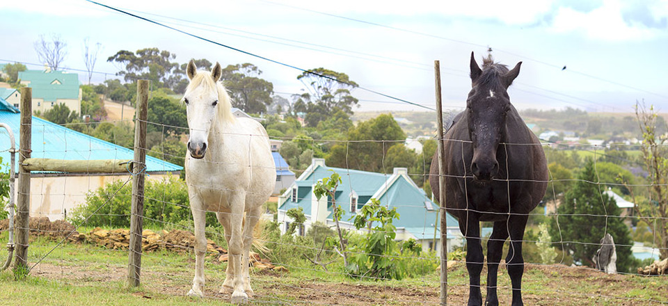 and Gateway to Cape Agulhas
