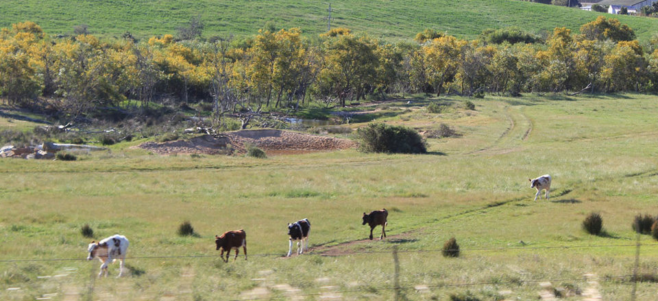 Escape to the Country and Let Time Pass You By