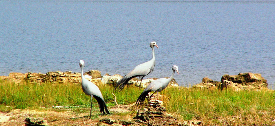 Discover a Bird Lover's Paradise