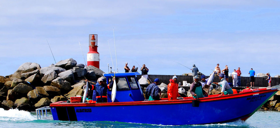 Sample the Taste of South African Food