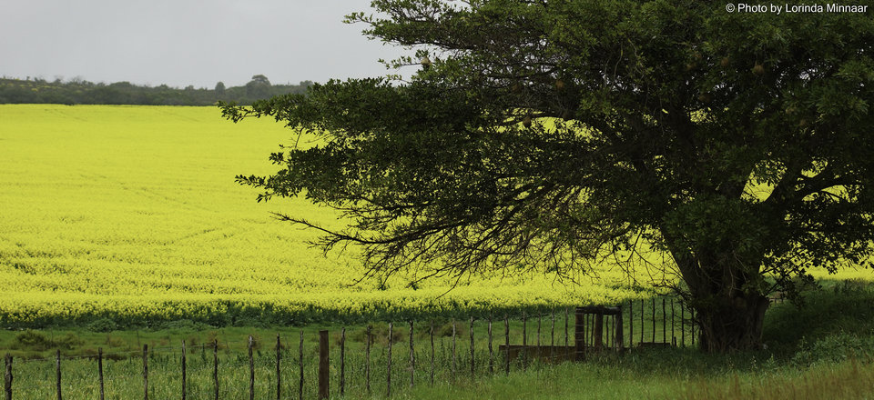 A Welcoming Country Getaway