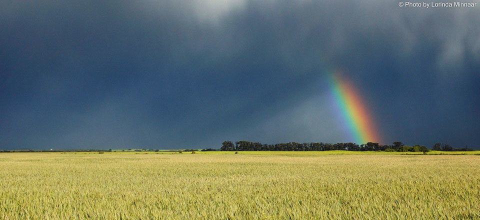 Plan your Stay in the Heart of Cape Agulhas