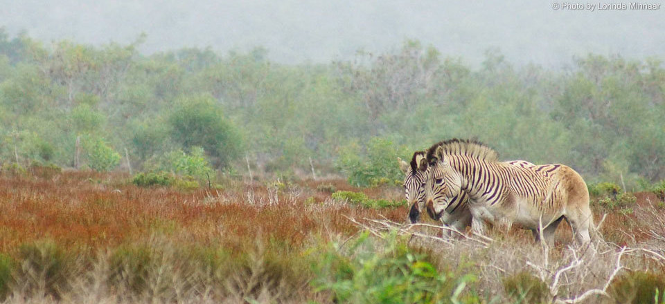 And Haven for Nature Lovers