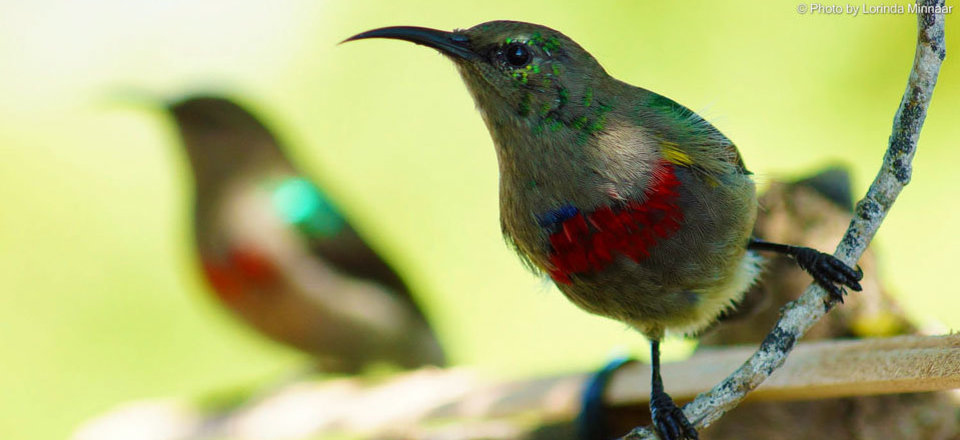 Discover the Treasures of a Nature and Marine Reserve