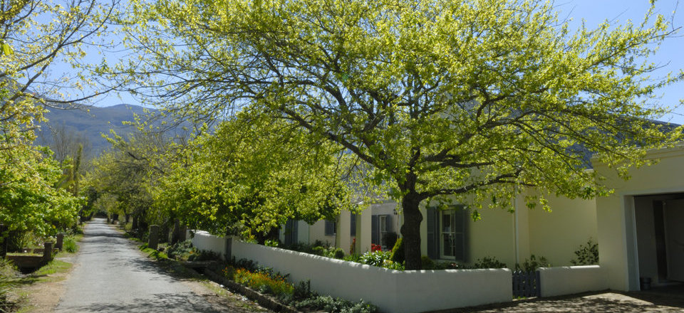 A Picturesque Retreat in the Overberg