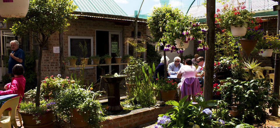  Discover All the Best Places To Eat in Kleinmond