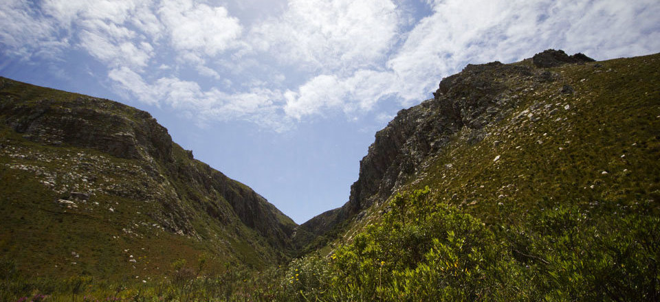 That falls under the Kogelberg Biosphere Reserve 