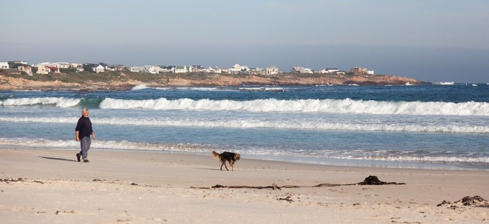 And Explore the Main Attractions