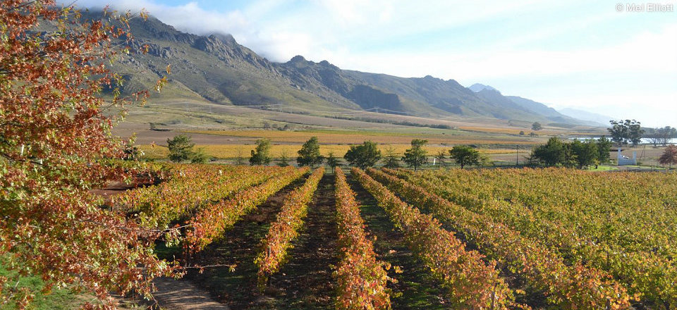 Welcome to Villiersdorp