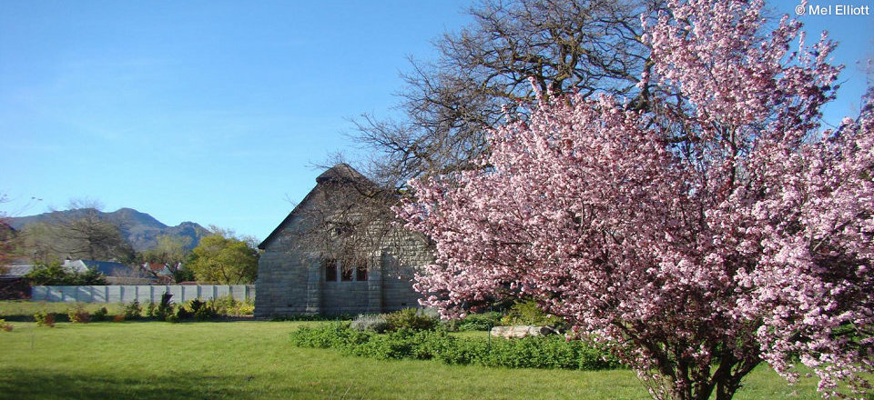 Where You Can Enjoy Nature at Its Best