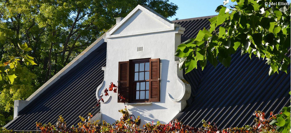 No Matter Your Preference, the Village Will Take Care of You