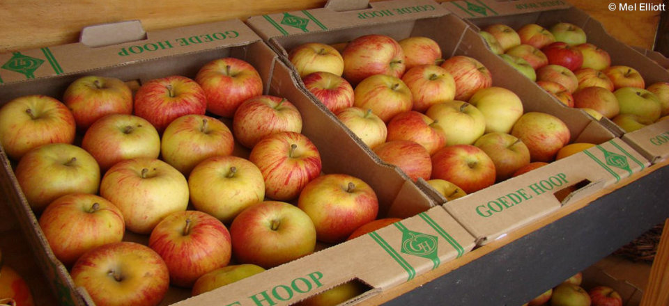 Fill up on Fresh Local Produce and Trinkets