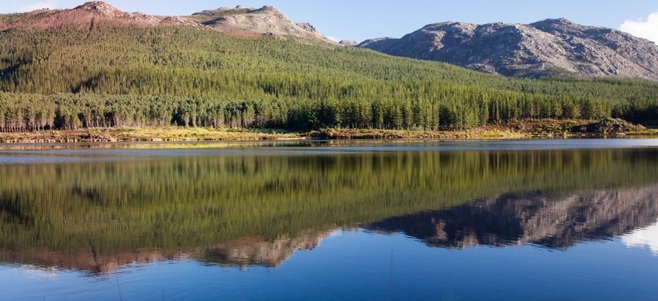 Welcome to Grabouw & the Elgin Valley