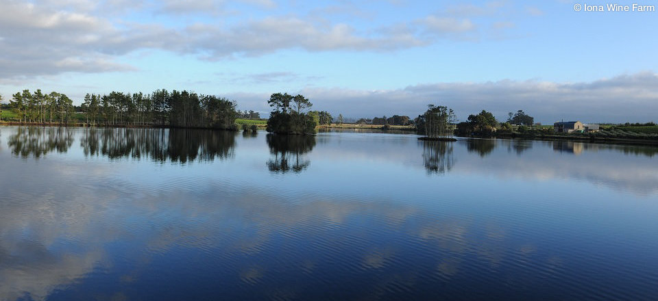 While Enjoying Stunning Views of the Valley