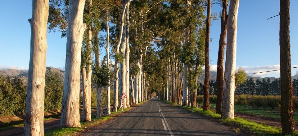 Discover the Valley between Hottentots Holland & Groenland Mountains