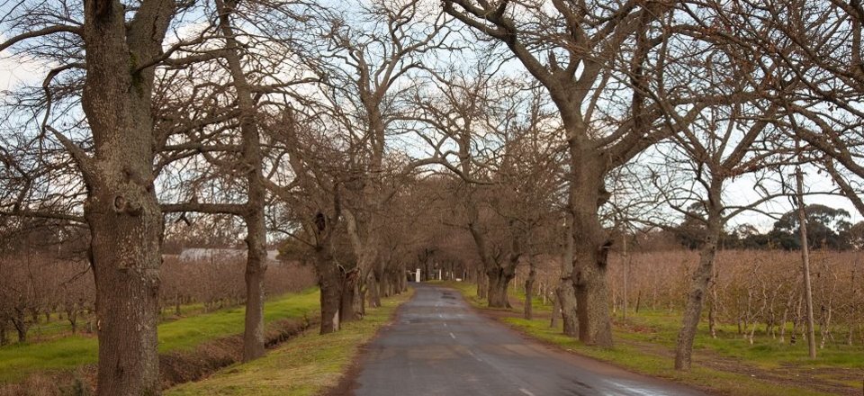 Enjoy Genuine Countryside Hospitality