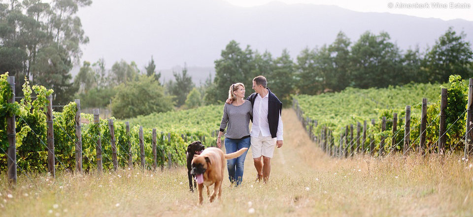 Take the Time to Explore at Your Own Leisure