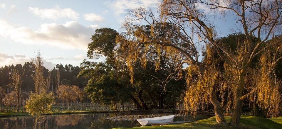 Allow Your Senses to Guide You Through Grabouw & Elgin