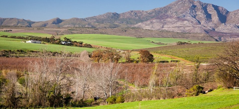 Welcome to Botrivier