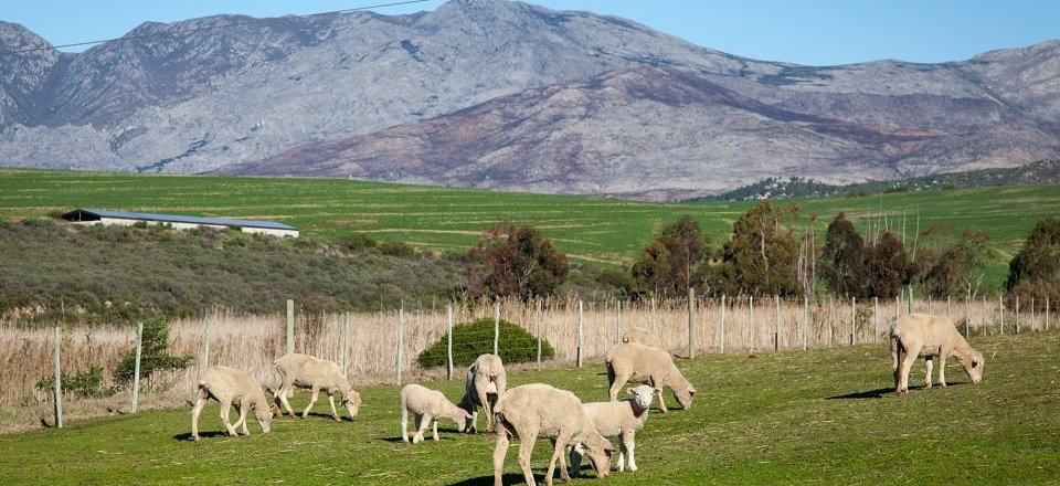 Discover the Village at the Foot of Houw Hoek Pass