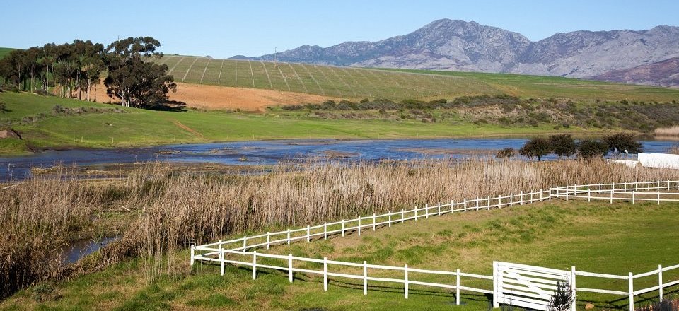 Immerse Yourself in the Great Outdoors