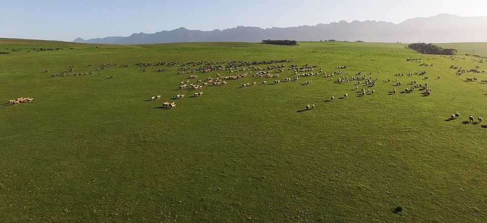 A Quiet Village Decked in Countryside Charm