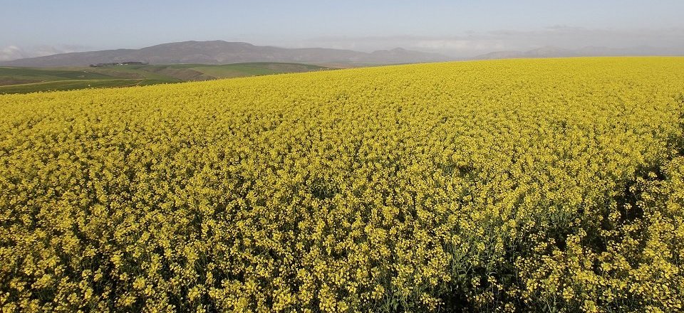 And Enjoy a Countryside Break Away