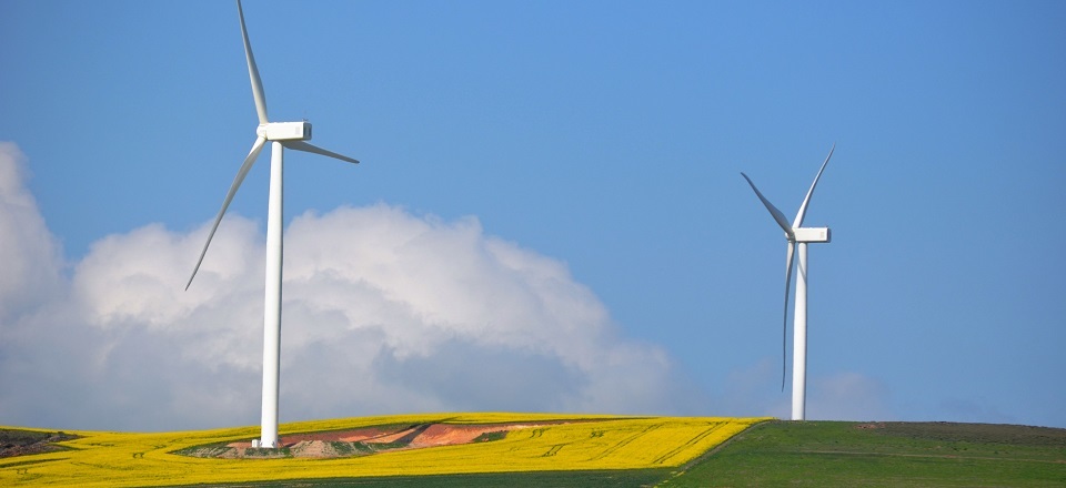 A Fruitful Agricultural Hub