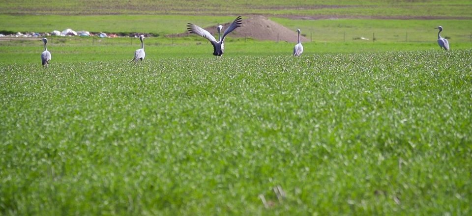 Enjoy the Rural Lifestyle