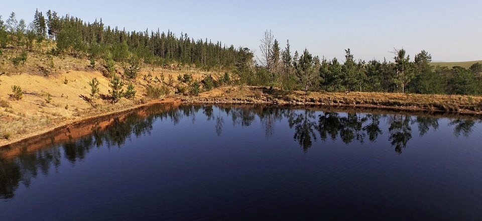 Explore the amazing Nature Reserves in Swellendam 