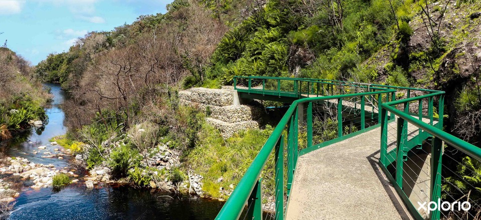 The Heart Of The Floral Kingdom