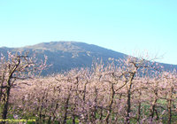 Villiersdorp-Elandskloof-Valley