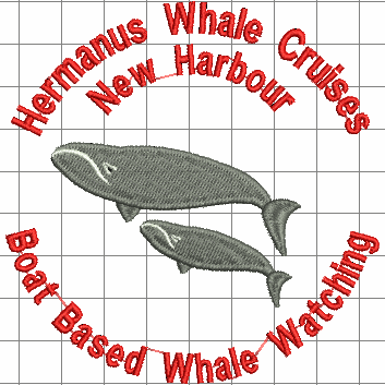 Hermanus Whale Cruises