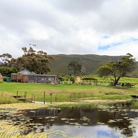 Stanford Hills Estate