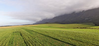 Greater Swellendam