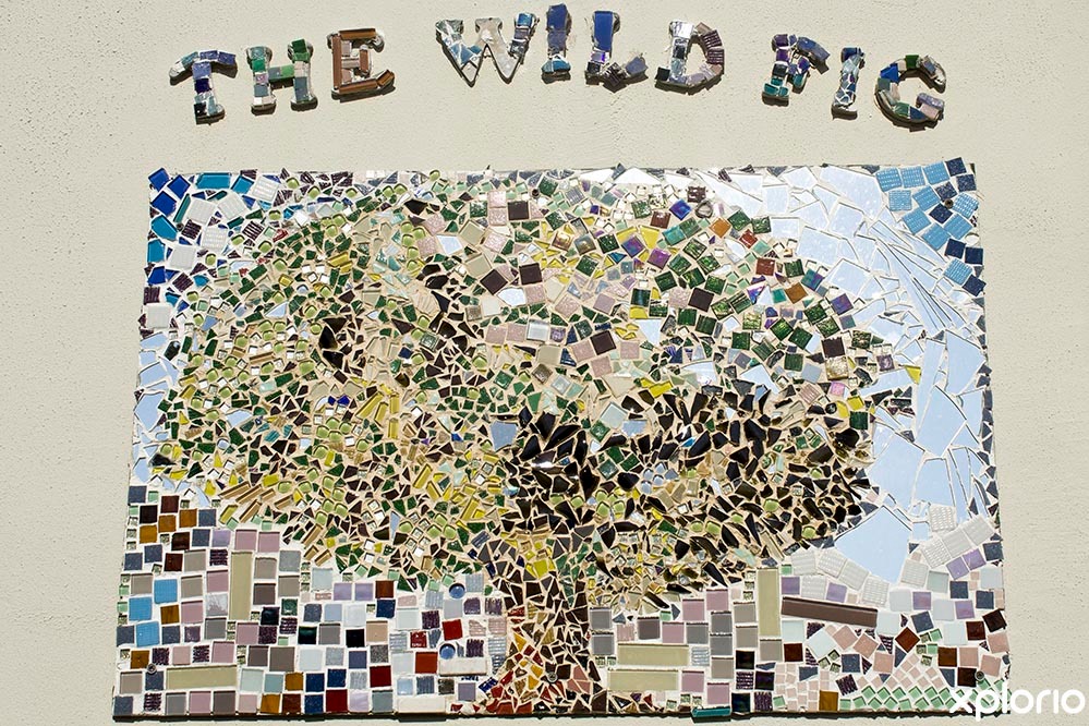 The Wild Fig Guest House