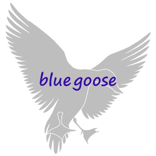 Blue Goose