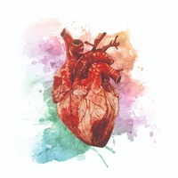 Dr Audrey Zietsman Pringle Bay