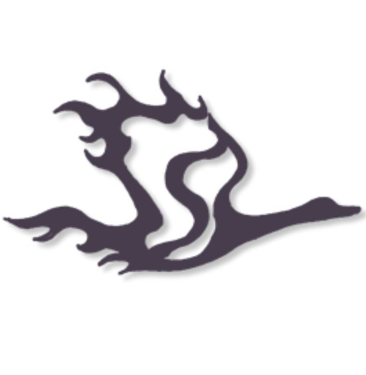 Greer Salt Psychological Counselling