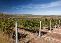 elim_wine_route_1544164650
