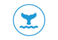 Welcome to Agulhas Whale Watching