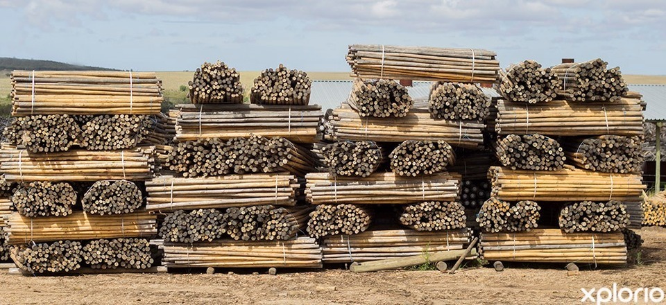 The Number One Pole Depot