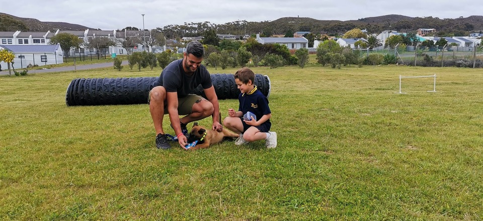 Unleash Your Pup's Potential