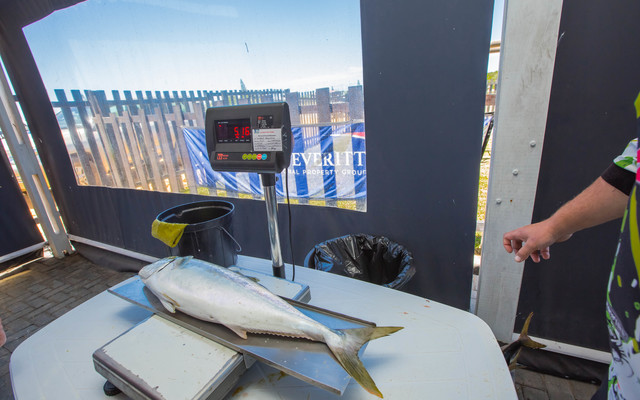 Weigh-In - Chas Everitt Cape Agulhas - Xplorioâ„¢ Agulhas