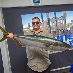 Yellowtail - Chas Everitt Cape Agulhas - Xplorioâ„¢ Agulhas