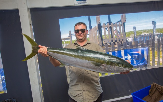 Yellowtail - Chas Everitt Cape Agulhas - Xplorioâ„¢ Agulhas